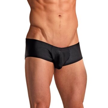 Miniboxer Negro Male Power