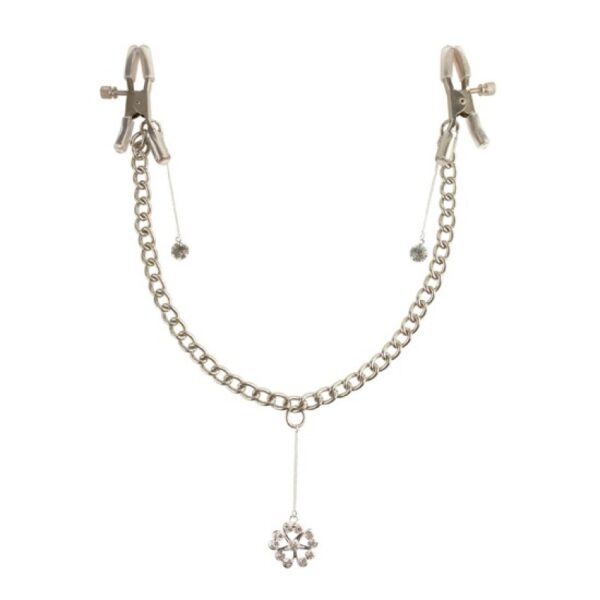 Pinzas Y Cadena Brillante Fetish