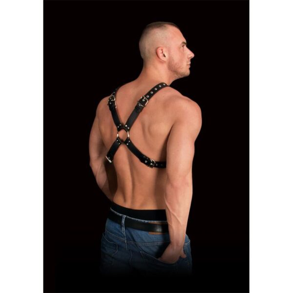 Arnes Pectoral Adonis Ouch - Imagen 2