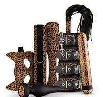 Set 8 Piezas Gato Panthera