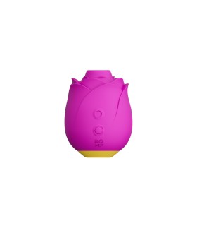 Succionador Rose Usb Romp